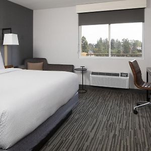 King Room Adapted Tub Mobility Hearing Accessible